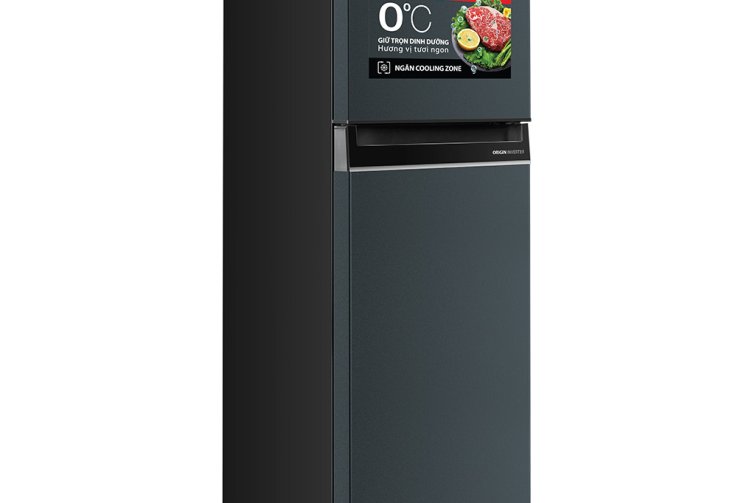 Tủ lạnh Toshiba Inverter 253 lít GR-RT329WE-PMV(52)