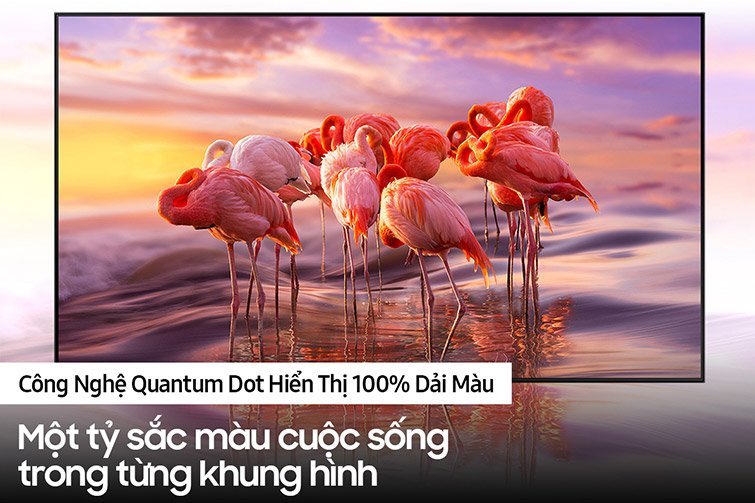 QLED Tivi 4K Samsung 55Q60C 55 inch Smart TV